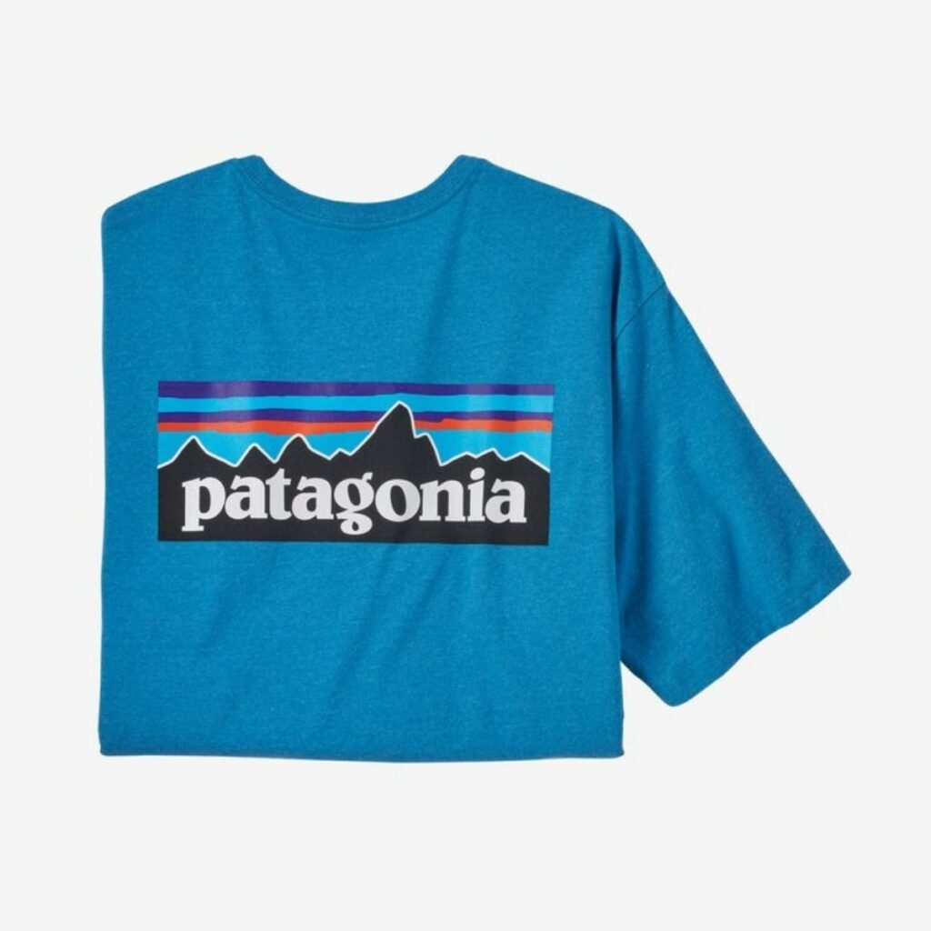 PATAGONIA P-6 Logo Responsibili-Tee Uomo